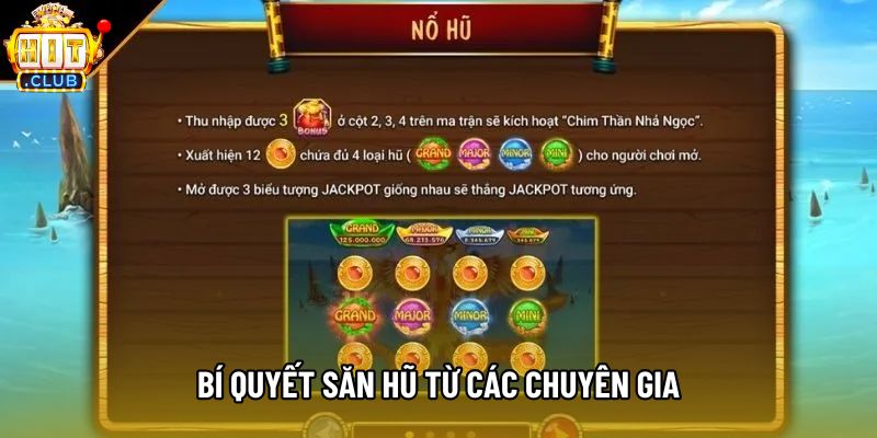 Bí quyết săn hũ từ các chuyên gia Bí quyết săn hũ từ các chuyên gia