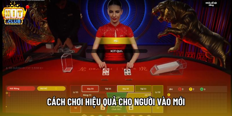 Cách chơi hiệu quả cho người vào mới Cách chơi hiệu quả cho người vào mới
